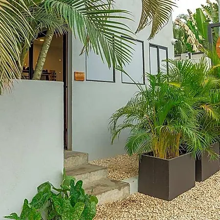 Ventura Santa Teresa